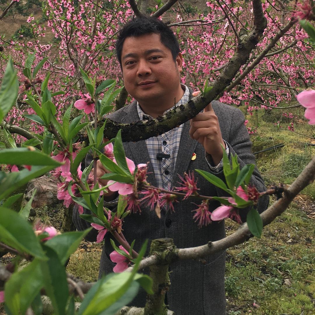 水果村的憨憨村官