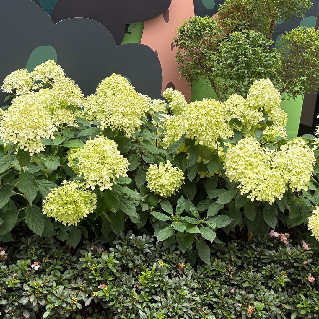 赤壁洗衣洗鞋洗窗帘