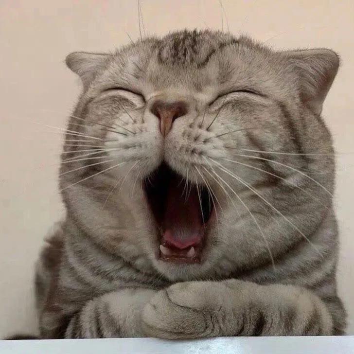 哈哈
