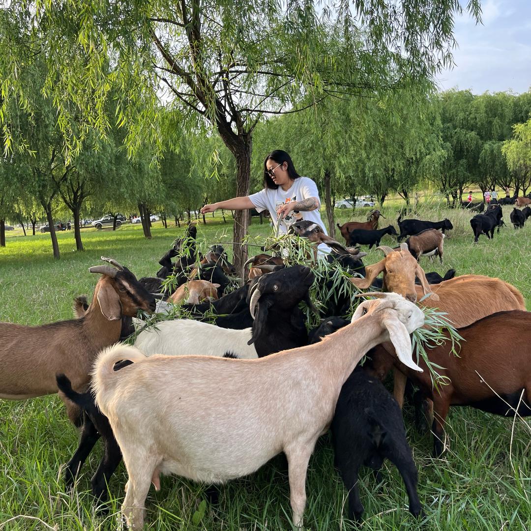 广西壮族自治区人民