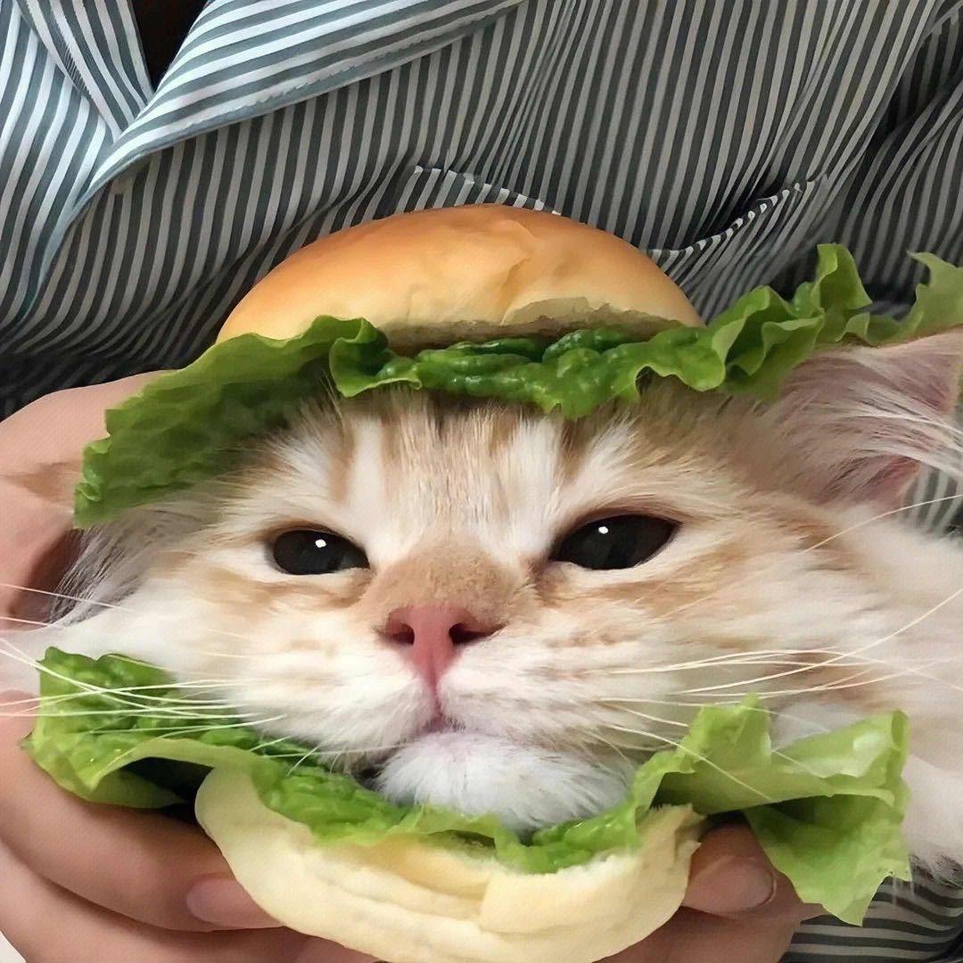 小🍔