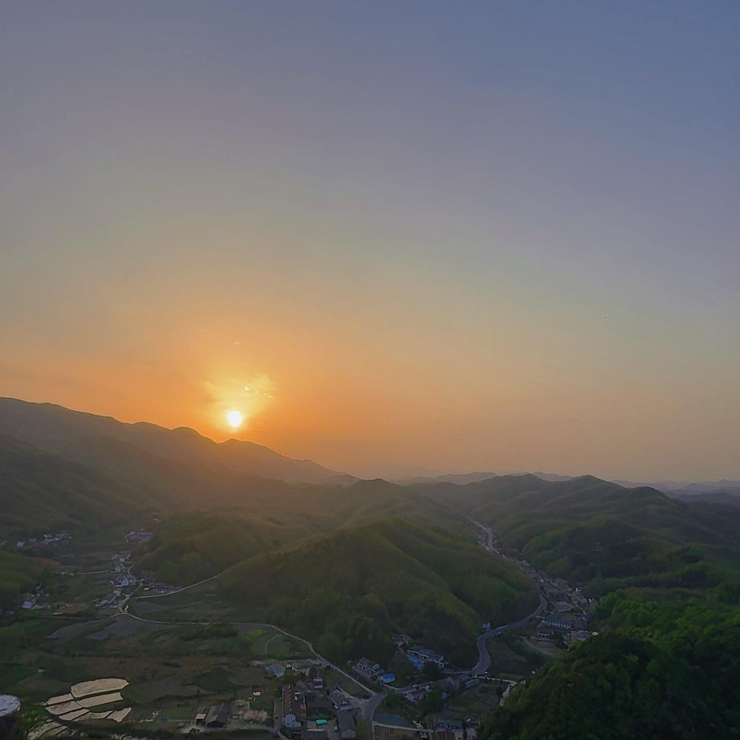高山茶园