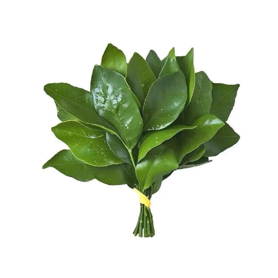 不吃香菜不吃葱#