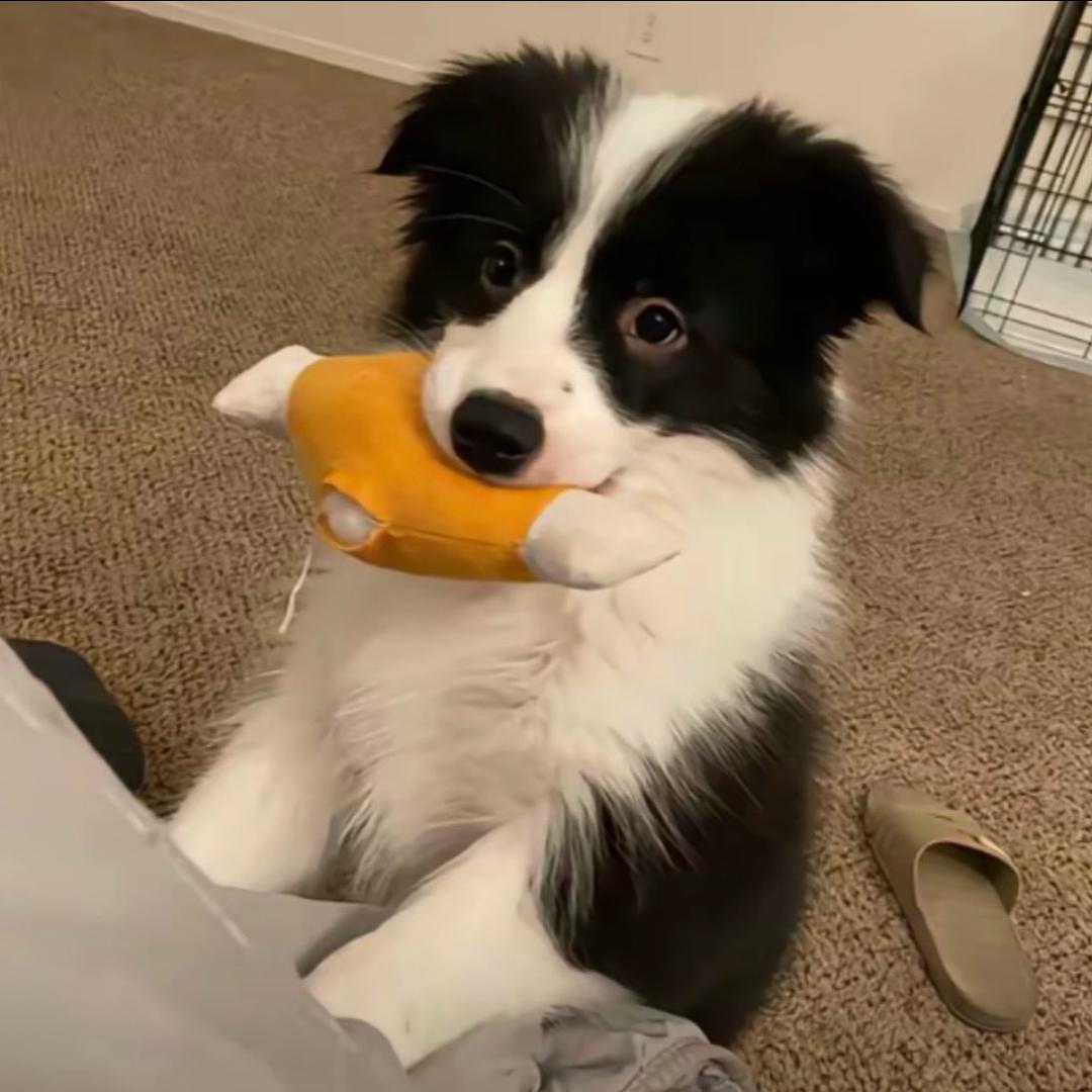 ㅤ今天不熬夜了