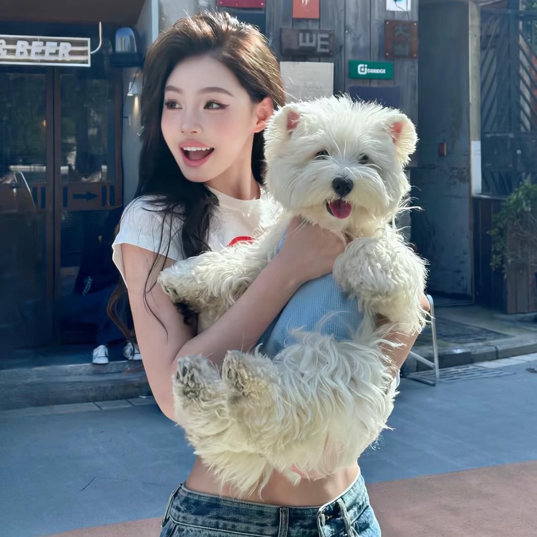 开始的开始