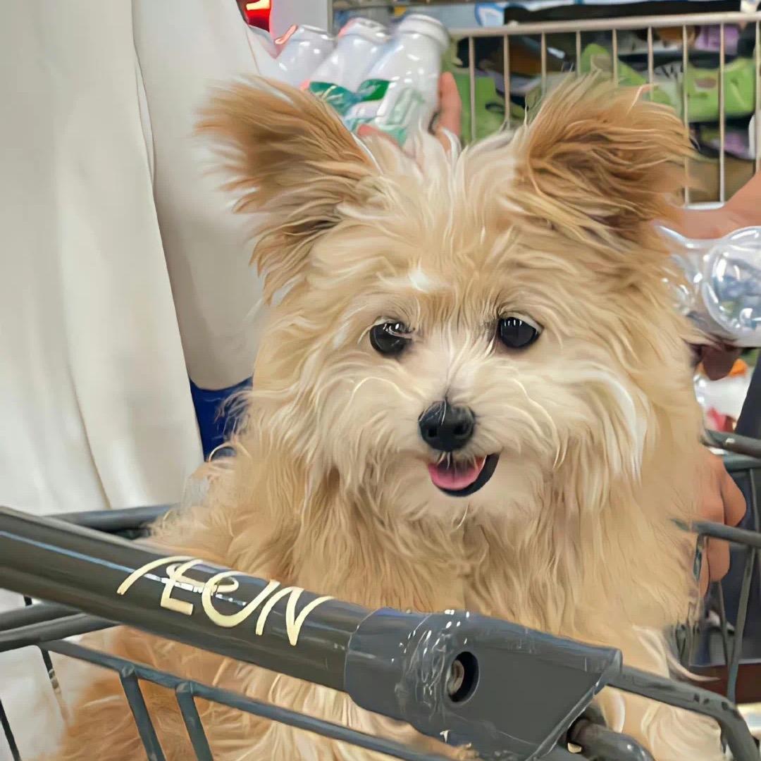 笨蛋比个耶.🌈