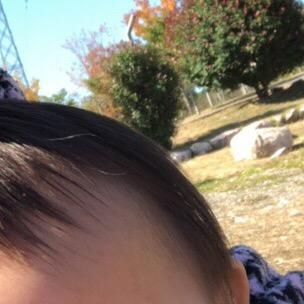 家电工厂活动号