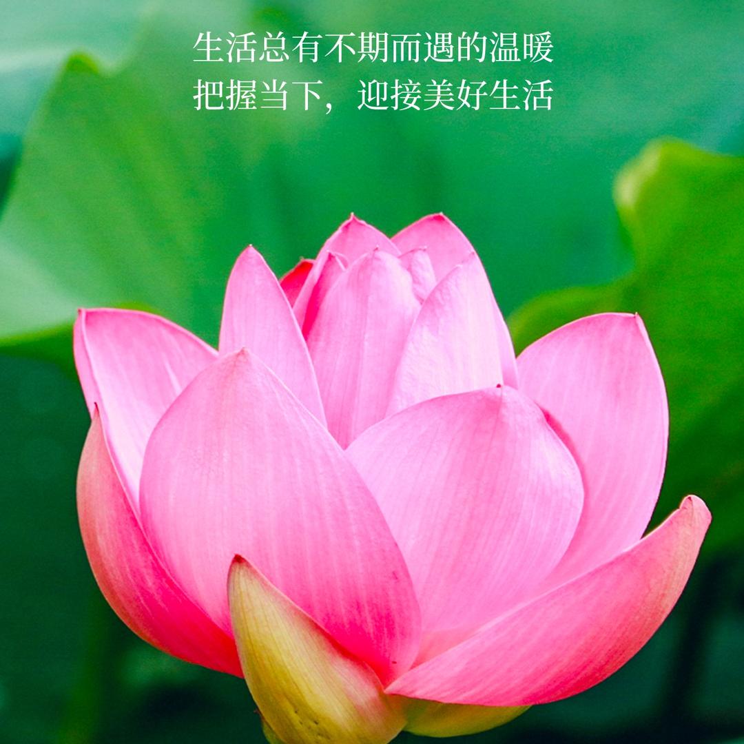 蔡蔡✨