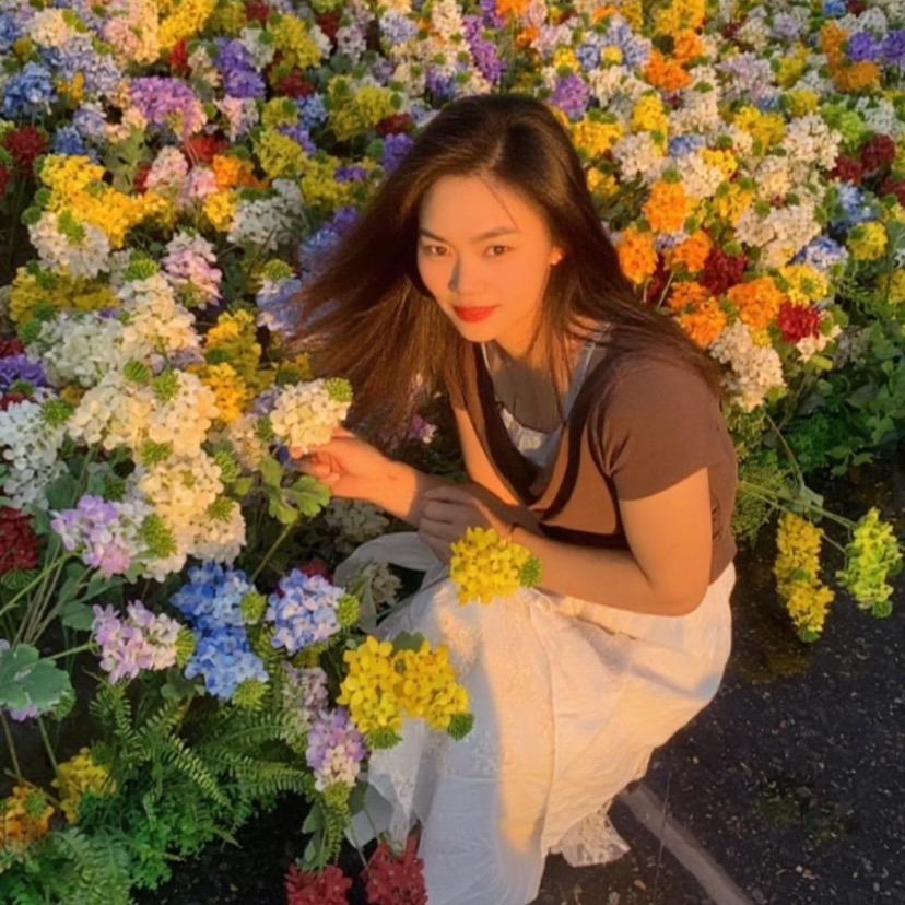 小燕子