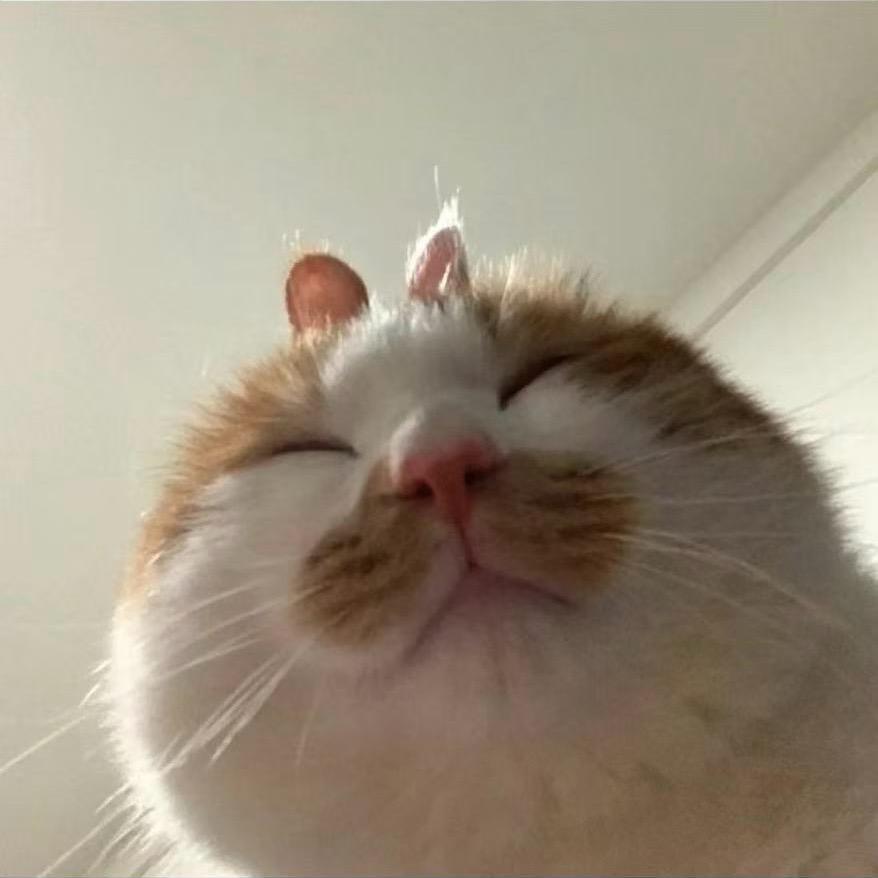 𝙕𝙄𝙆𝙃¹