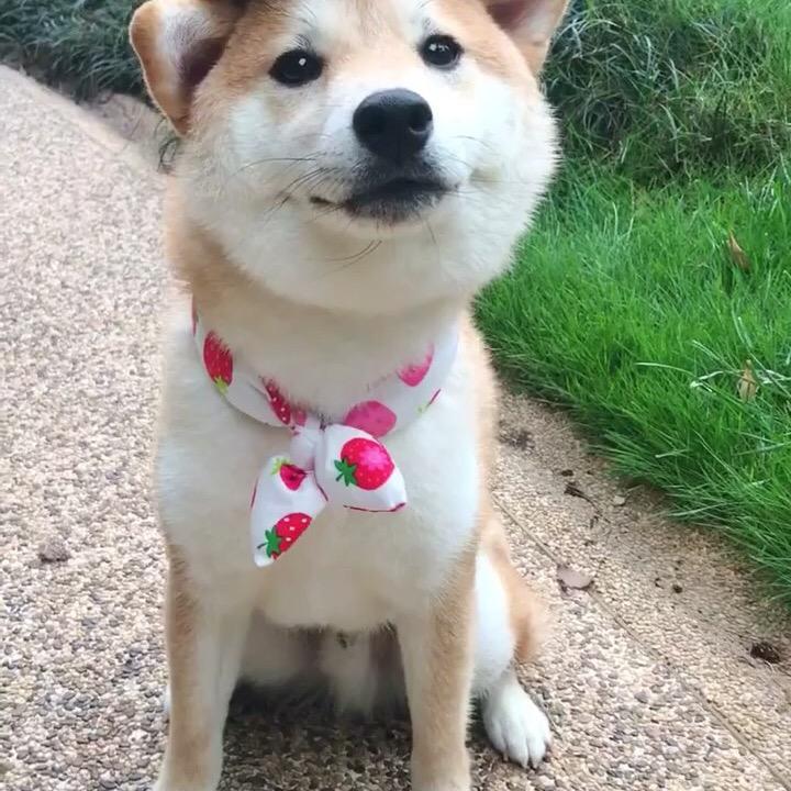 🌈静好🌈