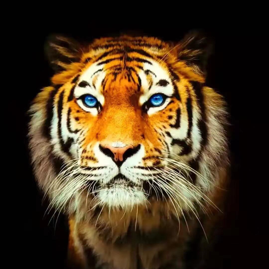 www