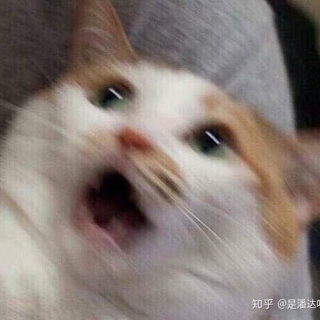 我爱奖学金