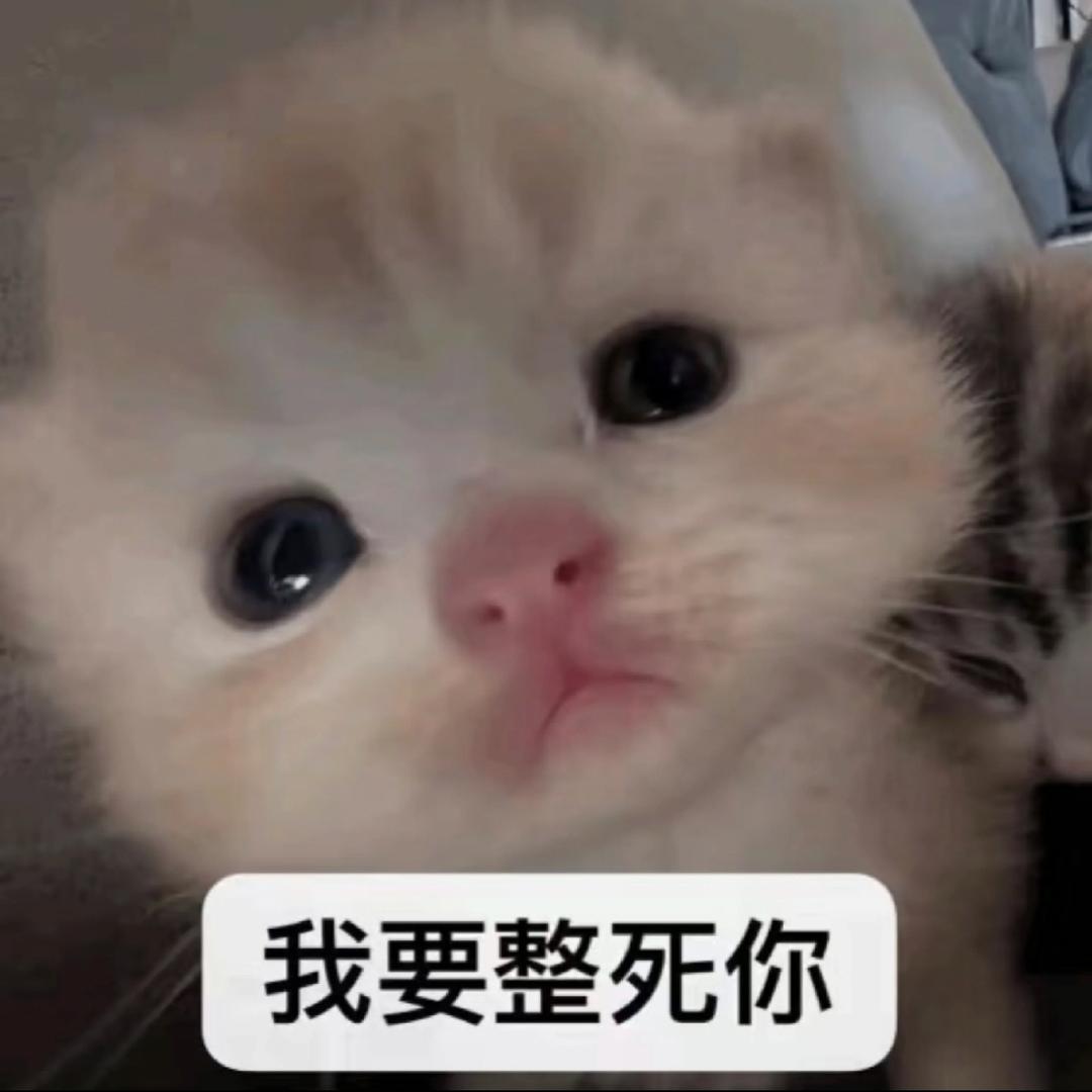 6吗，也不是很6