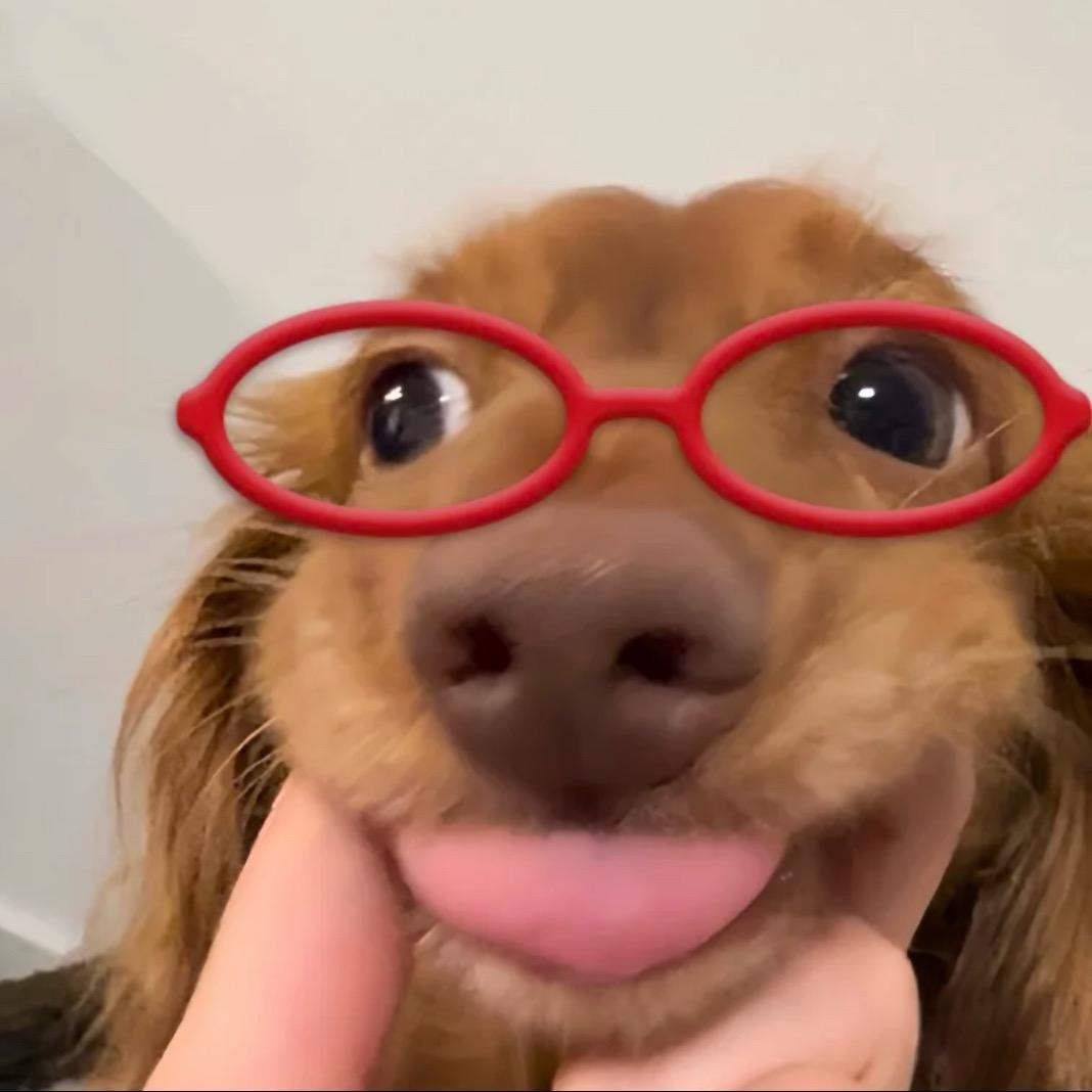 闪闪小石头