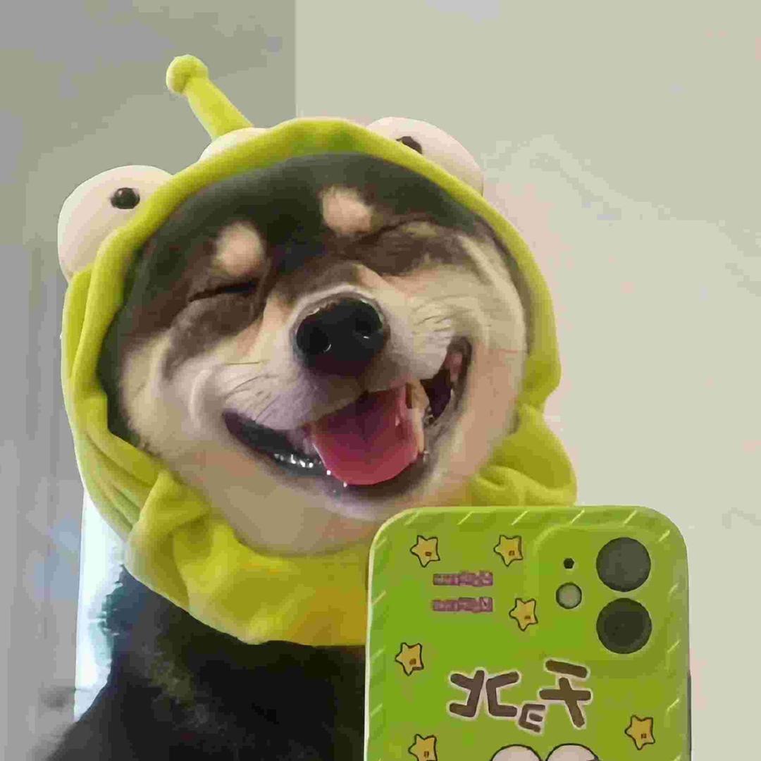 张的帅💨
