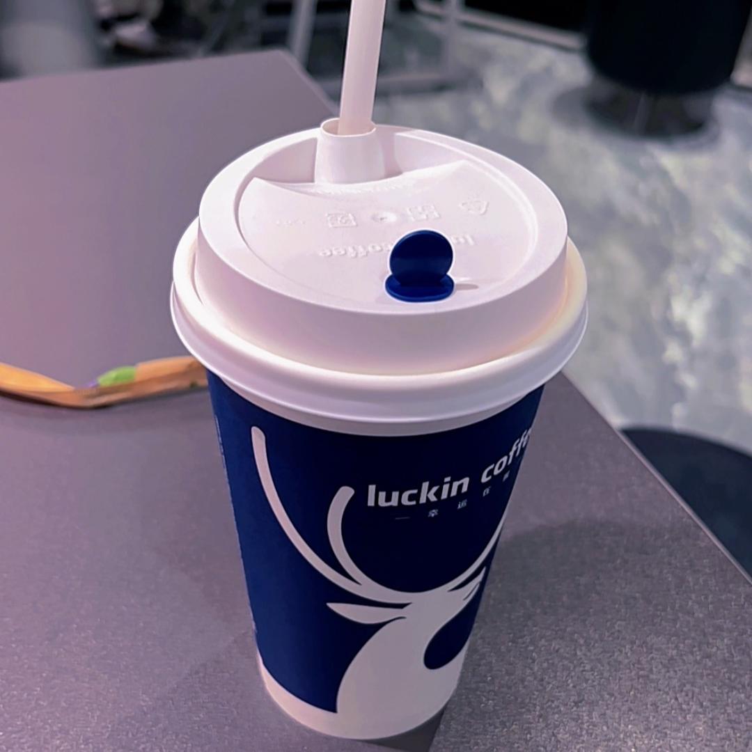 ……巷子里的猫……