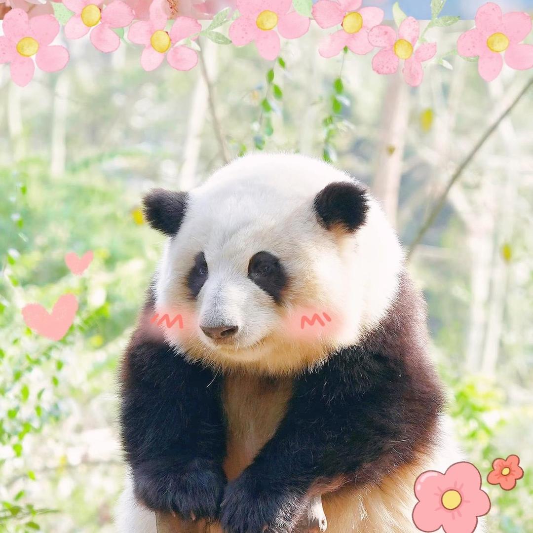 이광수