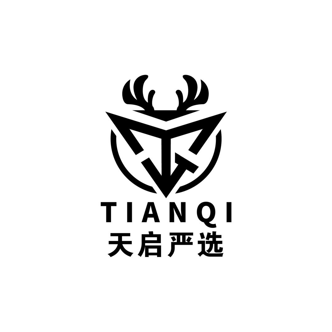 天启出品