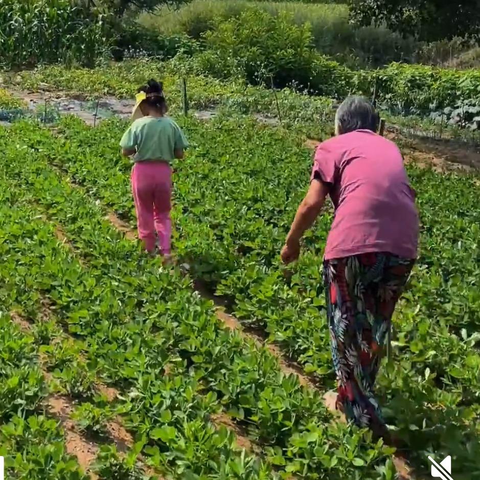 外婆的农村生活