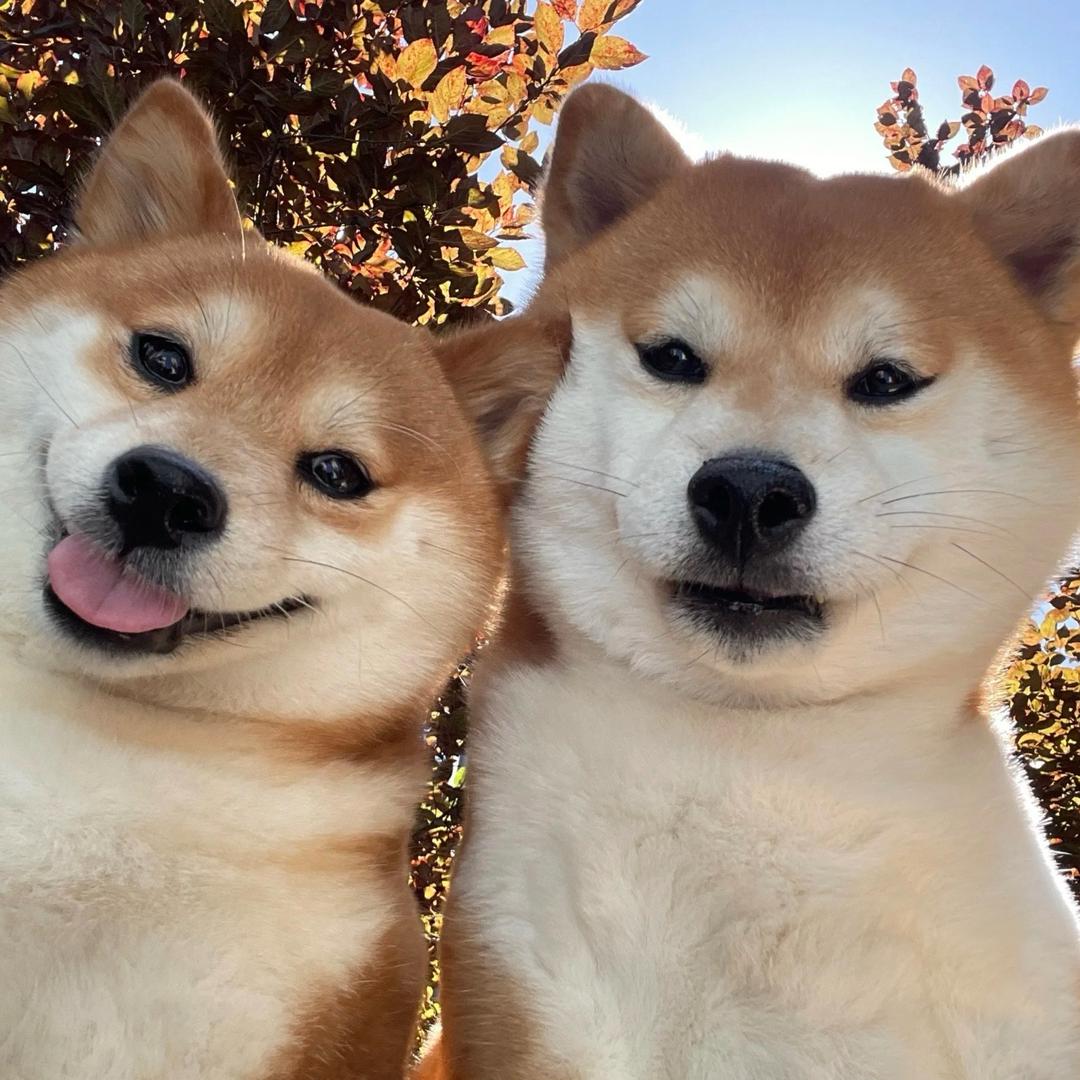 月色温柔 而你更甚