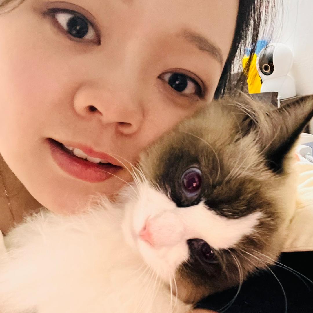 熊猫猪仔仔