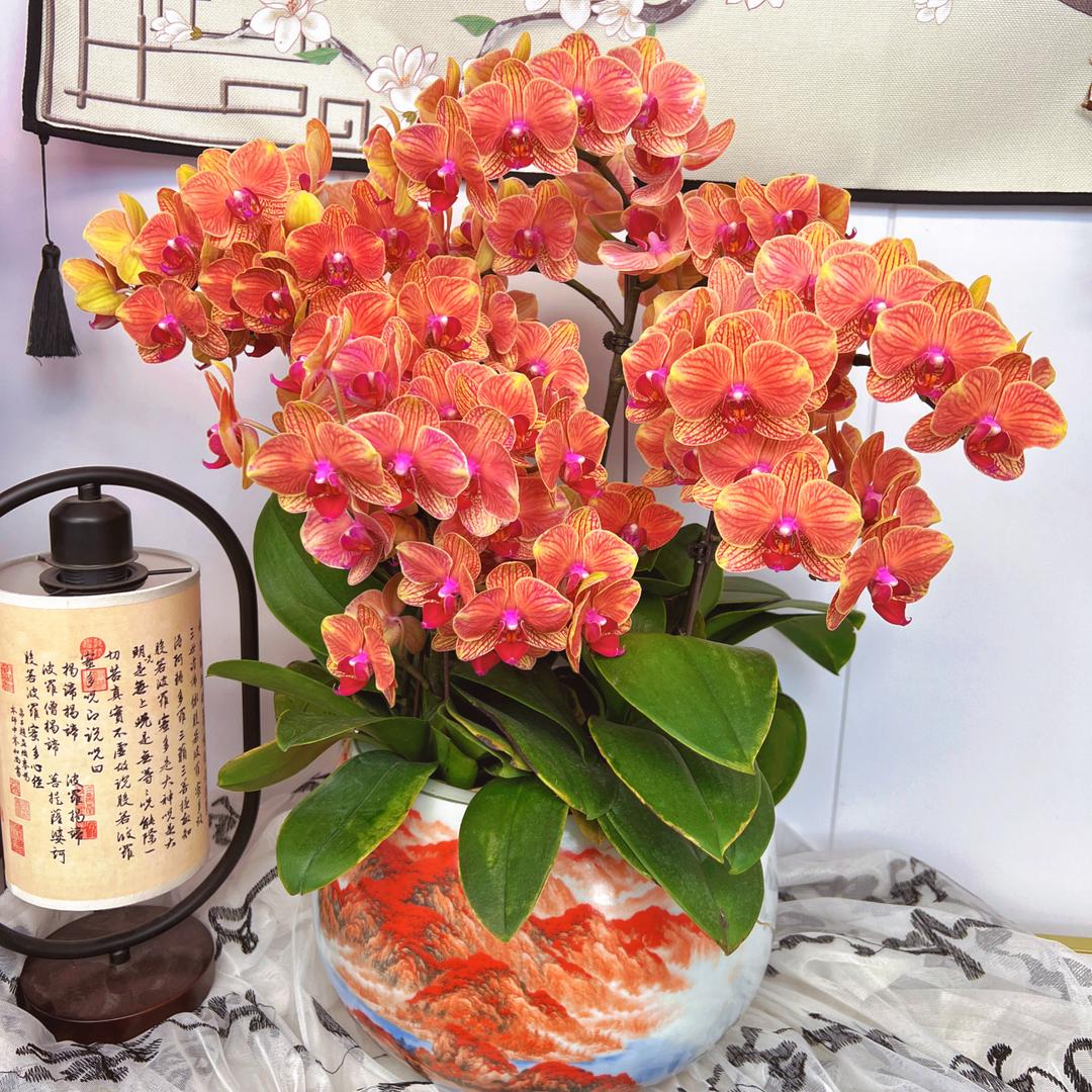 佛山市兰庭科技有限公司