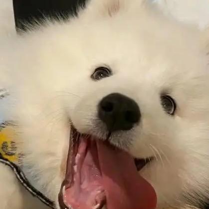 小开心😊