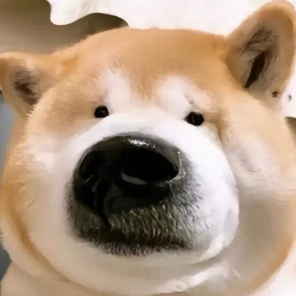 半夏°C