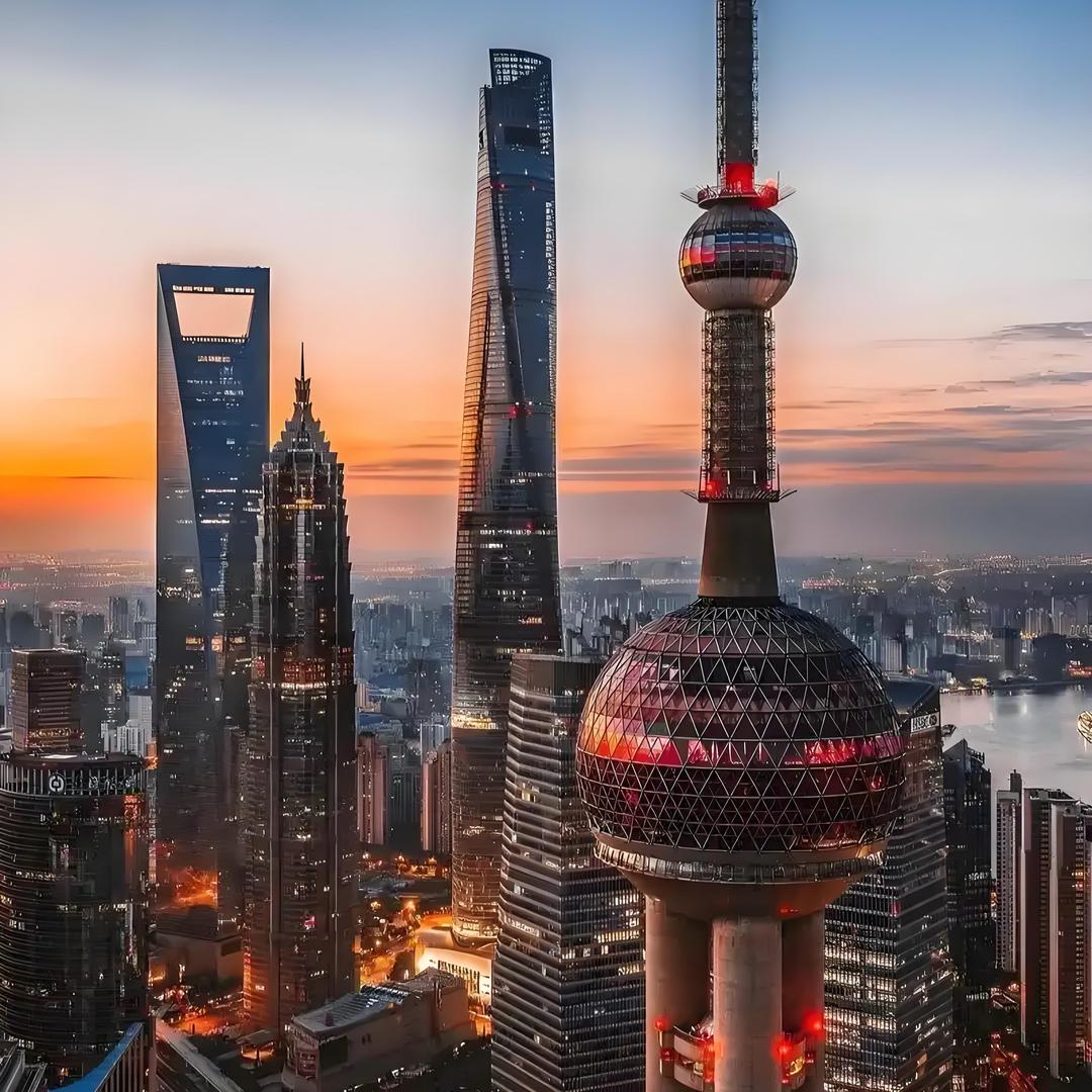 金鱼在魔都