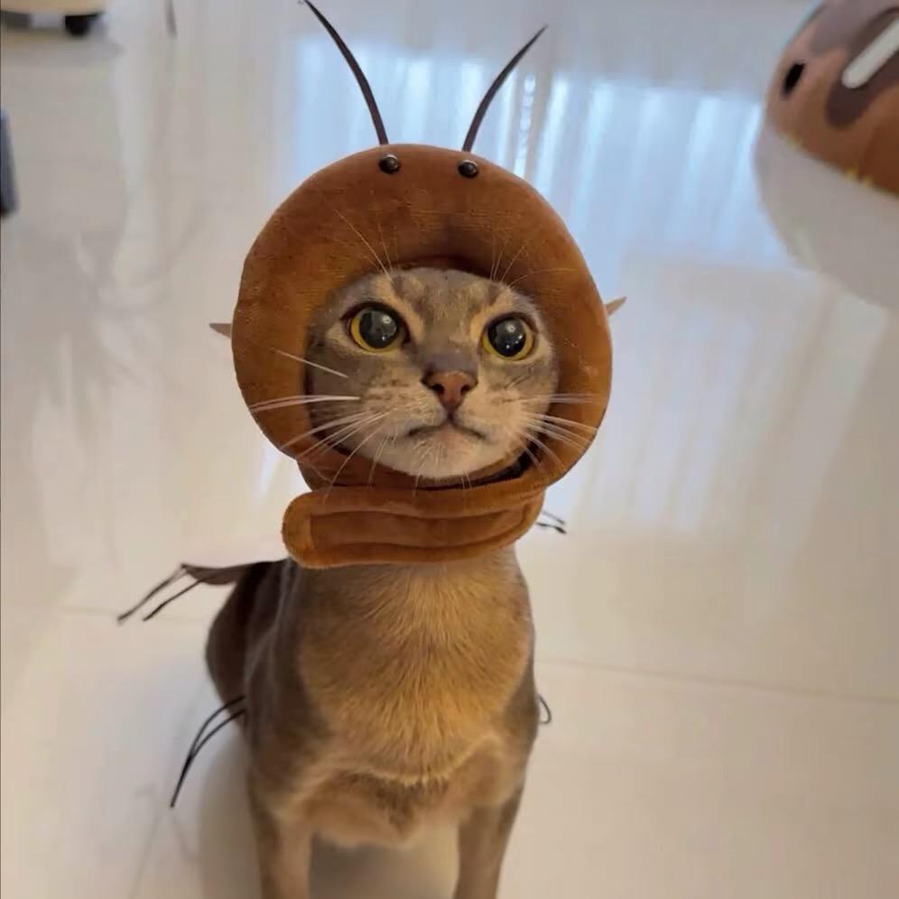 嘎嘎.