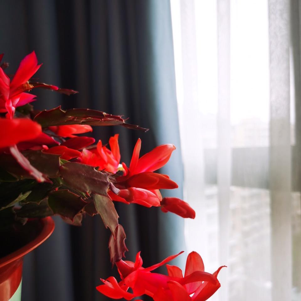 未央浙江2025-3-2