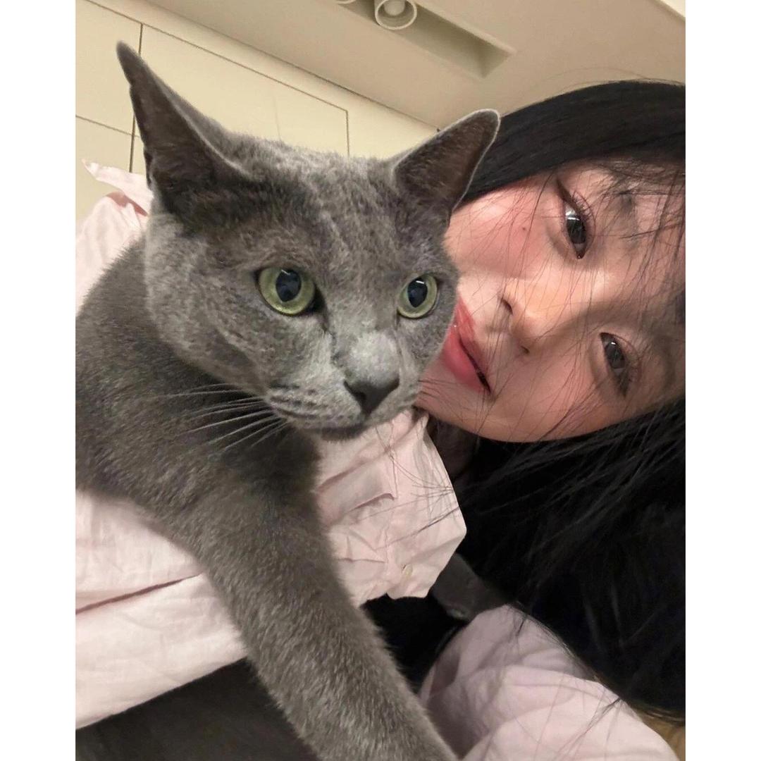 霸王龙KK🎀（健美版）