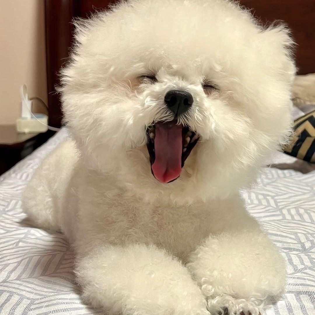 小潘小潘财运翻翻～