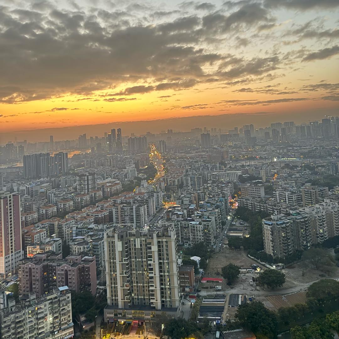 好多鱼