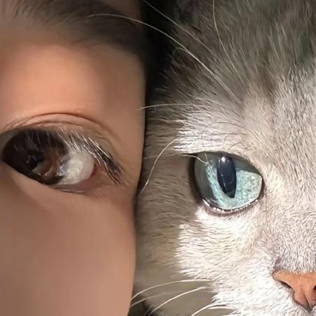 。。。。。。。。。。。