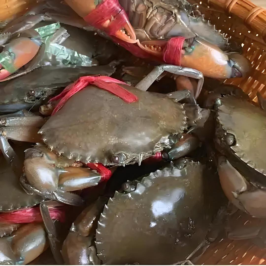 尚渔🐟海鲜