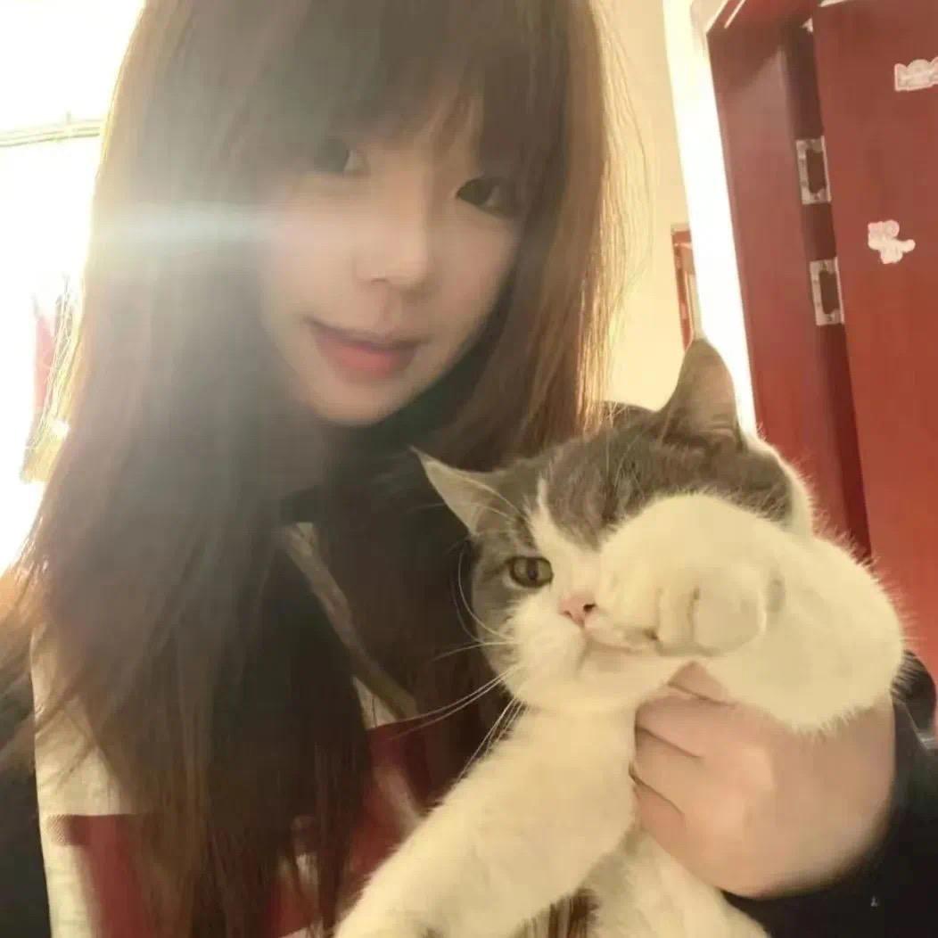 泪