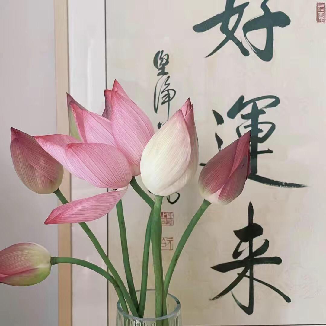 爱华🌹