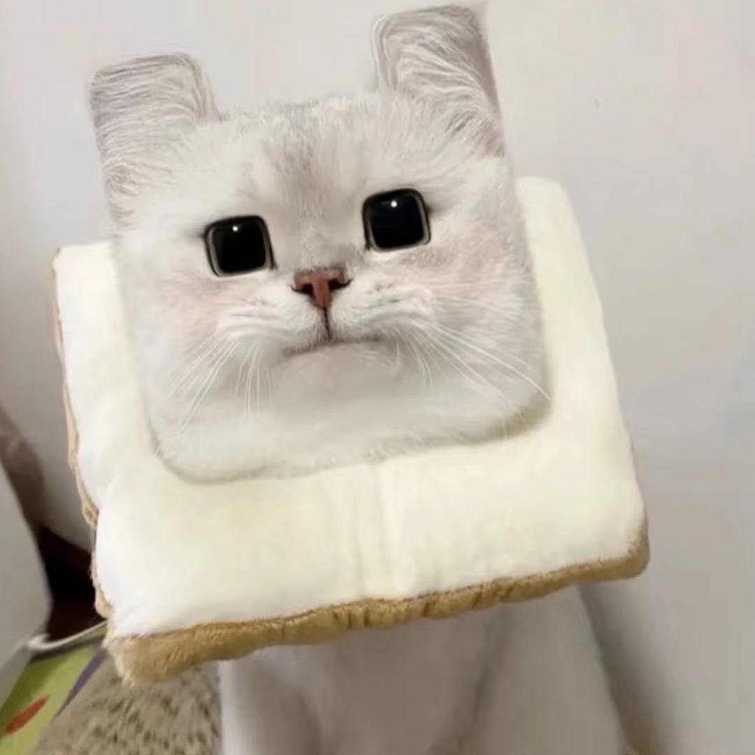 饱饱-
