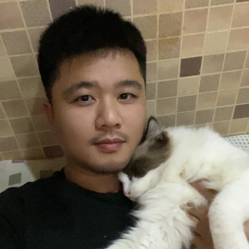 王子与猫