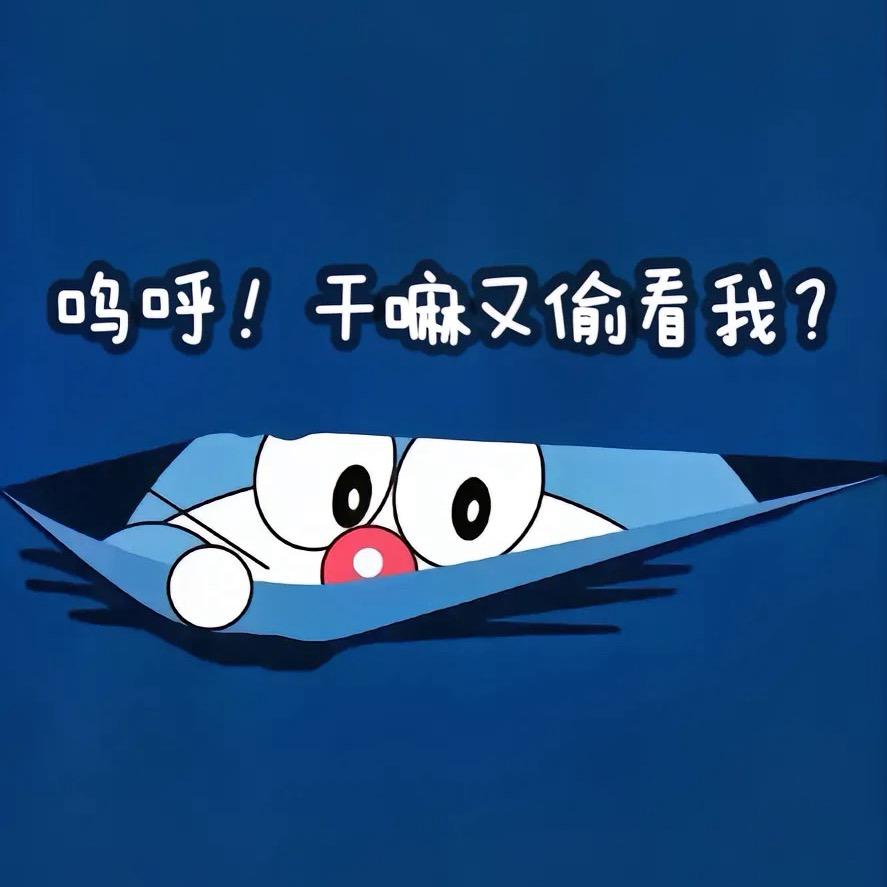 那就这样吧