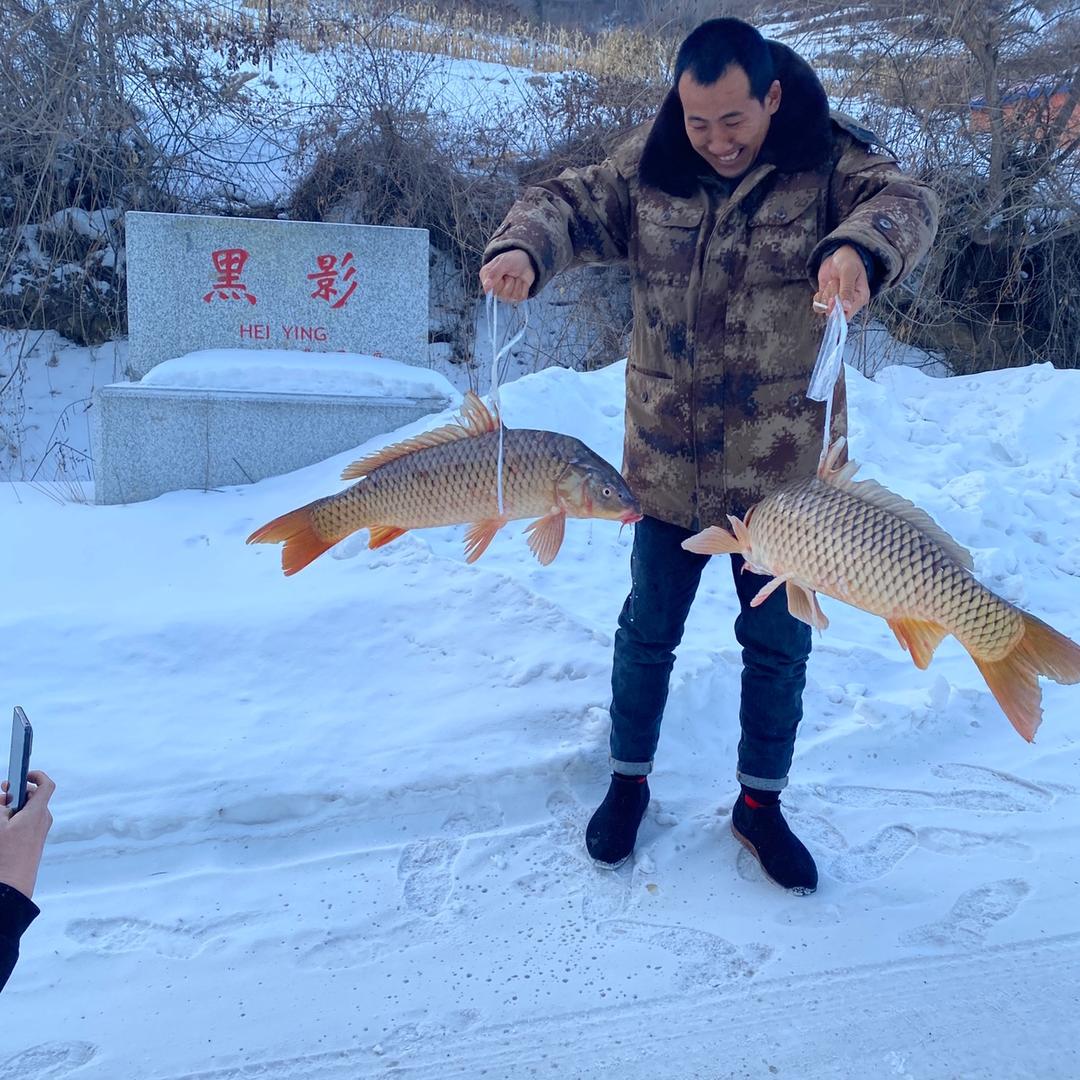 黑影 楠阳