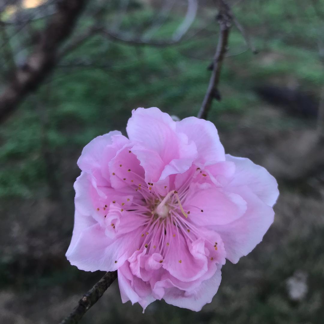 梧州市恒顺汽车修理厂官方号