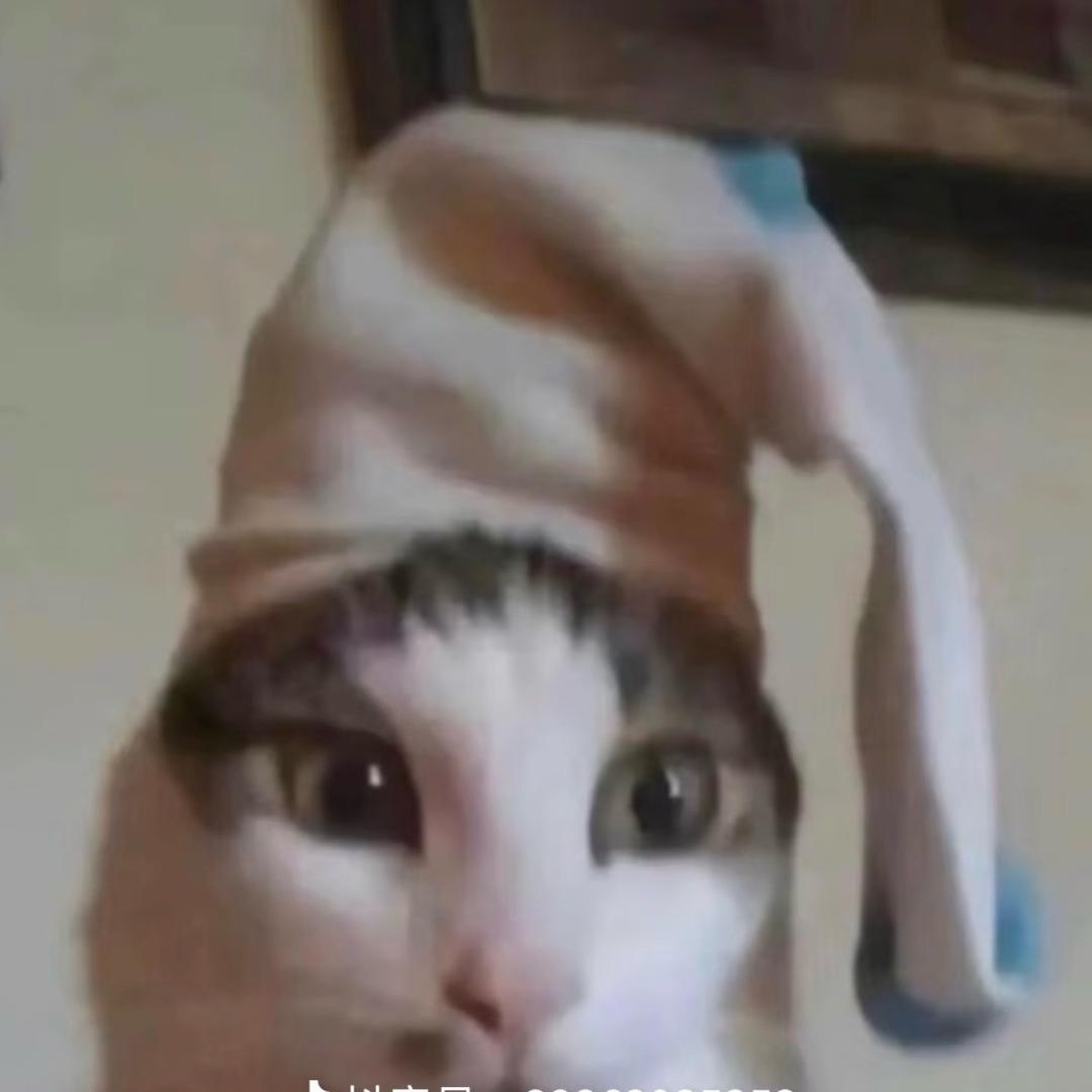 总裁已经10年没笑了