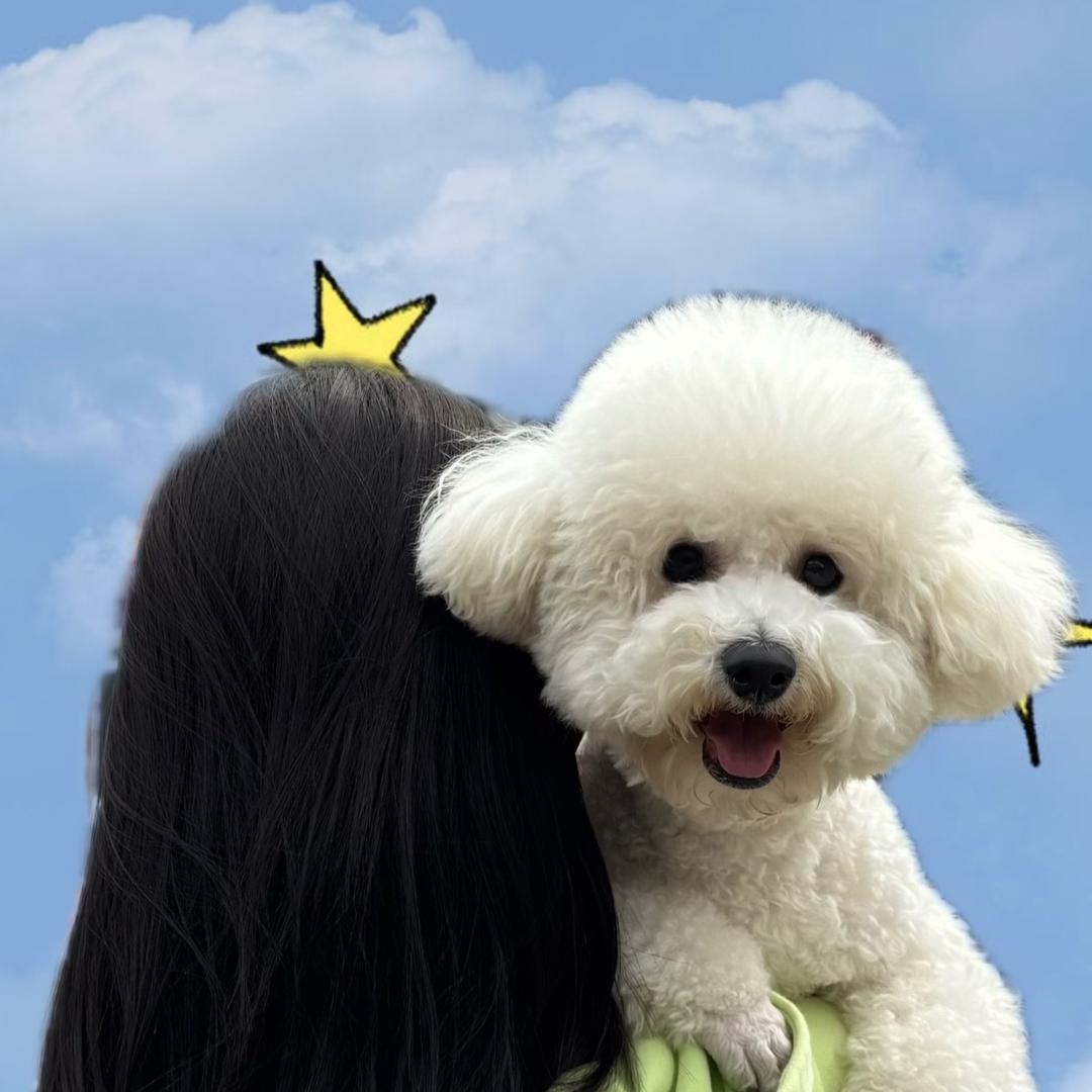 牛儿