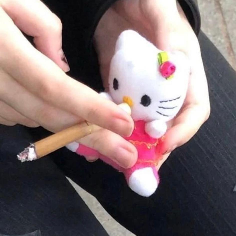 菜鸡
