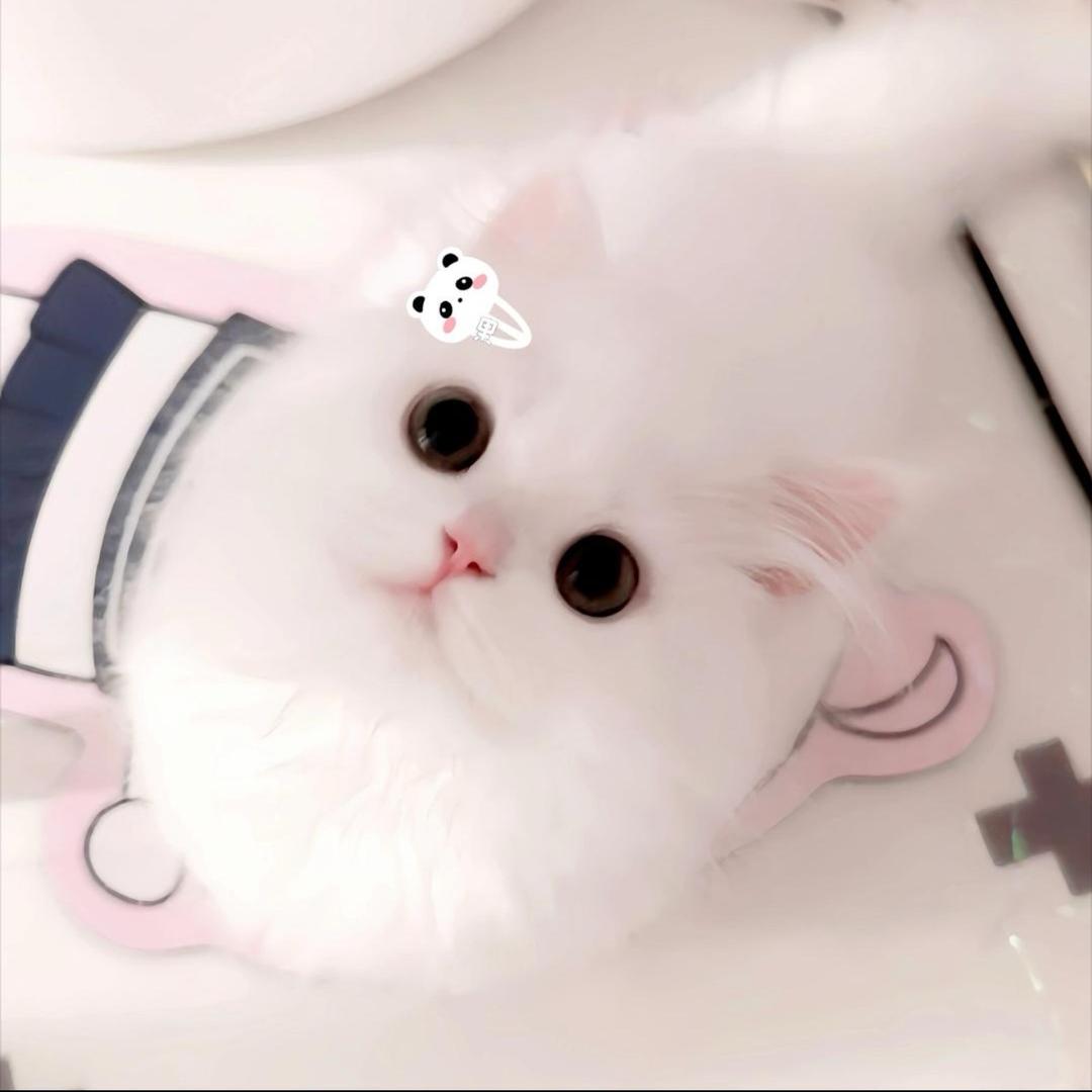 小᳐᳐莹᳐᳐੭