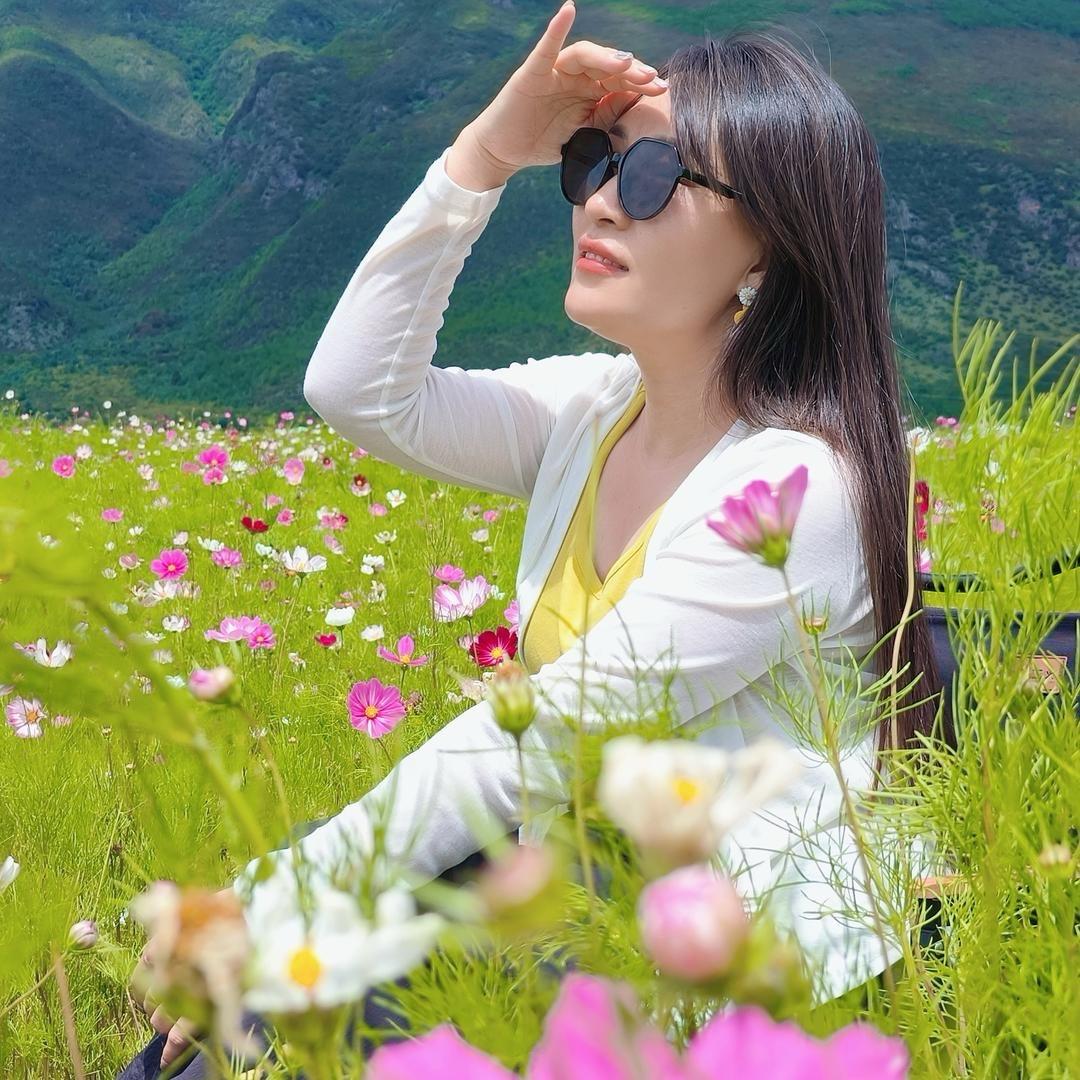 （停播）