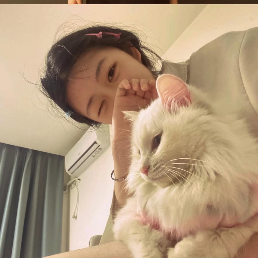 九键还是二十六键